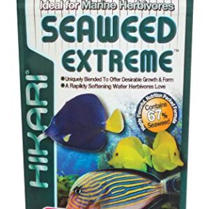 Hikari Usa Inc AHK25323 Seaweed extreme 8.8-Ounce