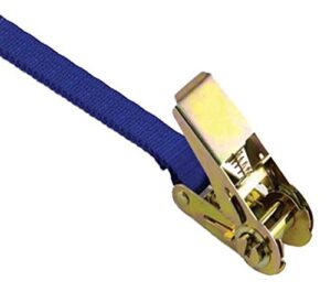 progrip 309610 cargo tie down standard duty ratchet with webbing strap and no hook on end, 12' x 1"