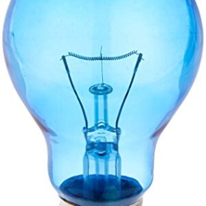 Daylight Blue Reptile Bulb (100 watt)