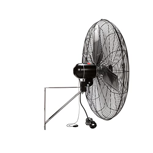 2-Speed Commercial Grade Wall Mount Fan (24 in.)