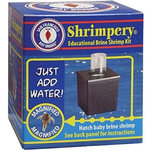 san francisco bay brand shrimpery brine shrimp kit for hatching baby brine shrimp