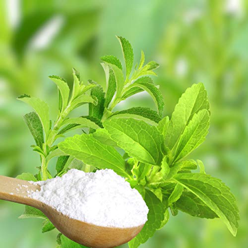 Outsidepride Perennial Stevia Sweetleaf Herb Garden Plant Sugar Substitute & Sweetener Alternative - 50 Seeds