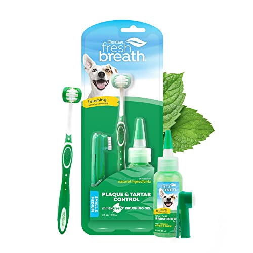 TropiClean Fresh Breath Oral Care Kit for Small & Medium Dogs - Complete Toothbrush & Toothpaste Gel Kit - Helps Remove Plaque & Tartar + Breath Freshener