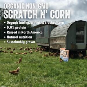 Scratch and Peck Feeds Organic Scratch + Corn, 9% Protein - Premium Supplemental Grain Source for Chickens and Ducks - 25lb