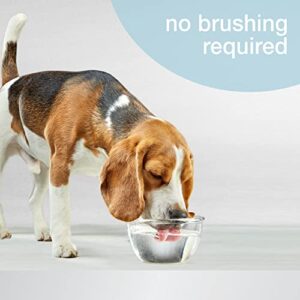 Nylabone Advanced Oral Care Dog Water Additive for Dental Care - Liquid Tartar Remover - Dog Breath Freshener & Teeth-Cleaning Liquid (32 oz.)