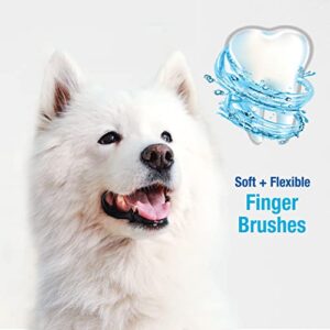 Nylabone Advanced Oral Care Finger Brush 2 Count One Size