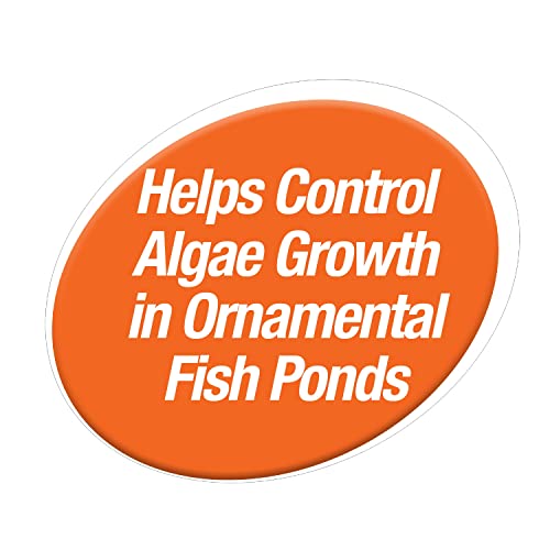 TetraPond Pond Block, 50 Count, Helps Control Algae Growth in Ornamental Fish Ponds