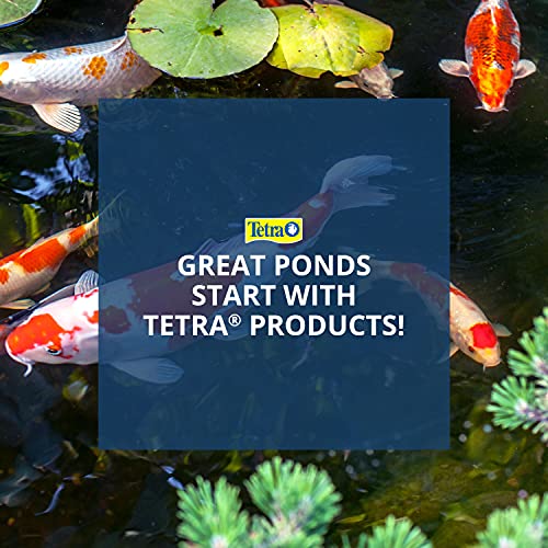 TetraPond Pond Block, 50 Count, Helps Control Algae Growth in Ornamental Fish Ponds