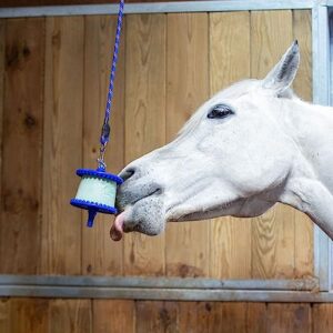 Likit Holder Stable Toy With Treat, Purple