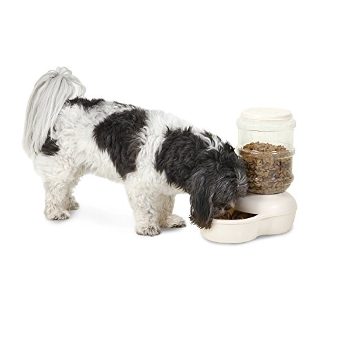 ASPEN PET LEBISTRO FEEDER 5LB