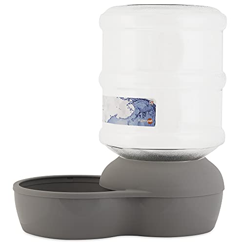 Petmate Aspen Pet Lebistro Cat and Dog Water Dispenser