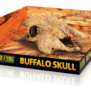 Exo Terra Terrarium Decor Buffalo Skull