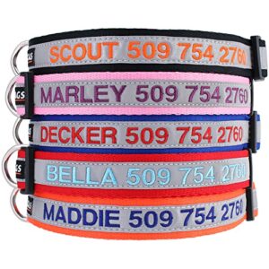 gotags reflective personalized dog collar, custom embroidered with pet name and phone number in blue for boy and girl dogs, 3 adjustable sizes, small, medium, and large