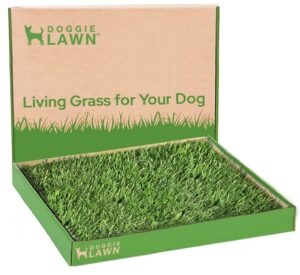 doggielawn real grass puppy pee pads- 24 x 20 inches - perfect indoor litter box for dogs - no mess, easy-to-use - potty training for pets - eco-friendly disposable bathroom with real living grass