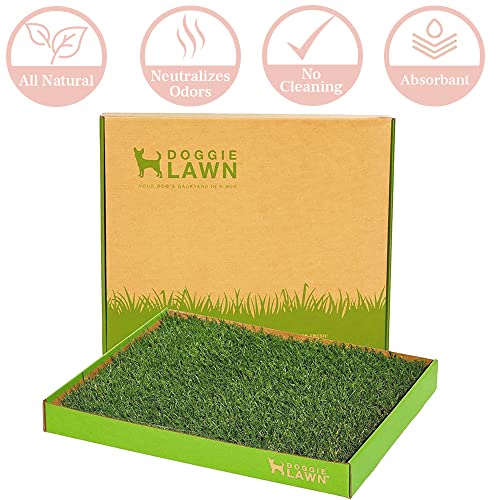 DoggieLawn Real Grass Puppy Pee Pads- 24 x 20 Inches - Perfect Indoor Litter Box for Dogs - No Mess, Easy-to-Use - Potty Training for Pets - Eco-Friendly Disposable Bathroom with Real Living Grass