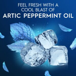 Oral-B Glide Arctic Peppermint Oil Dental Floss Picks, Mint, 75 Count