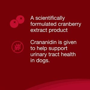 Nutramax Crananidin Cranberry Extract Urinary Tract Health Supplement for Dogs, 75 Chewable Tablets