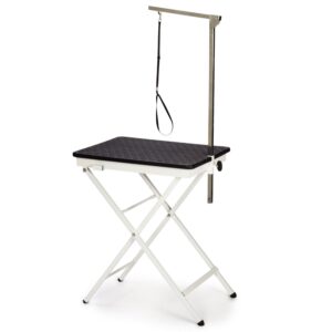 Master Equipment Steel Versa Competition Pet Grooming Table