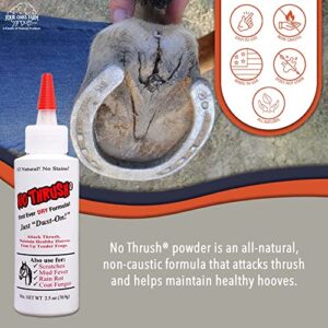 Four Oaks Farm Ventures, No Thrush Dry Powder Treatment for Horses - Wound Care, Scratches, Rain Rot, Mud Fever, Coat Issues - All Natural Ingredients, Non-caustic, Easy to Use Powder Formula (2.5 oz)