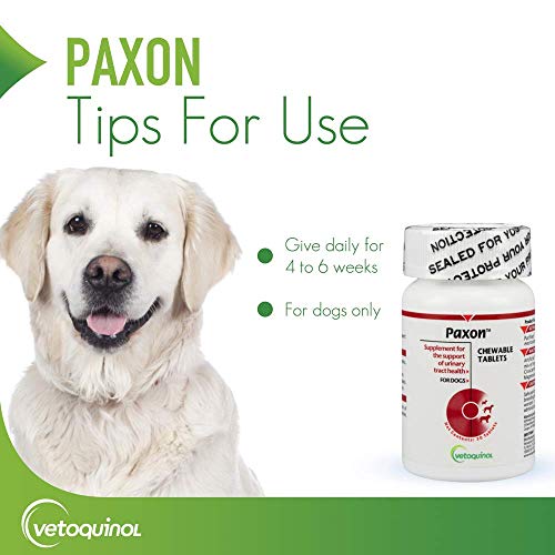 Vetoquinol Paxon Cranberry Urinary Tract Supplement for Dogs to Promote Urinary and Bladder Health