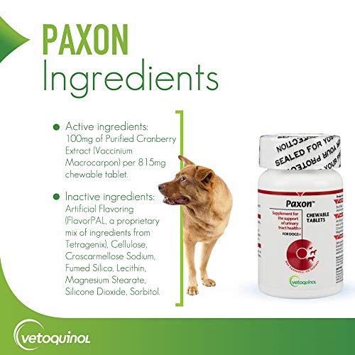 Vetoquinol Paxon Cranberry Urinary Tract Supplement for Dogs to Promote Urinary and Bladder Health