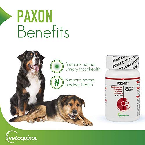 Vetoquinol Paxon Cranberry Urinary Tract Supplement for Dogs to Promote Urinary and Bladder Health