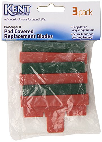 Kent Marine AKM00984 3-Pack Algae Blade Pad