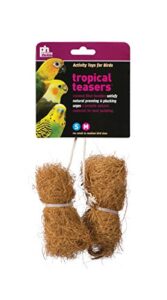 prevue pet products bpv62091 2-pack tropical teaser coco bundles bird toy