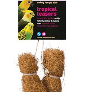 Prevue Pet Products BPV62091 2-Pack Tropical Teaser Coco Bundles Bird Toy