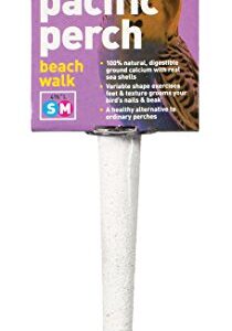 Prevue Pet Products Pacific Perch Beach Walk X-Small