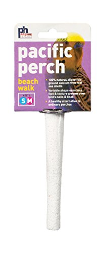 Prevue Pet Products Pacific Perch Beach Walk X-Small