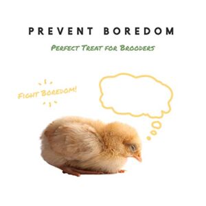 Manna Pro Chick Supplies Treat | Chick Brooder Chick Stick | Chicken Coop Accessories | Chick Starter Kit | 15 oz