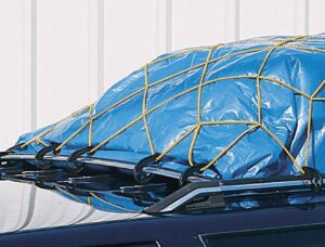 progrip 901000 cargo net for transport storage and vehicle: roof rack bungee netting with adjustable hooks, 36" x 48"