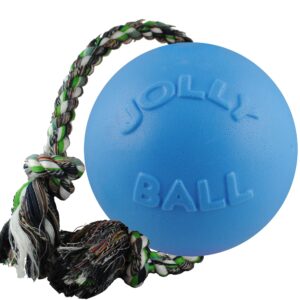 Jolly Pets Romp-n-Roll Rope and Ball Dog Toy, 8 Inches/Large, Blueberry, All Breed Sizes