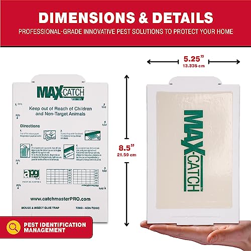 Pest Glue Trap by Catchmaster - 36 Boards Pre-Baited, Ready to Use Indoors. Rodent Mouse Rat Insect Sticky Adhesive Simple Easy Simple Non-Toxic - Made in the USA