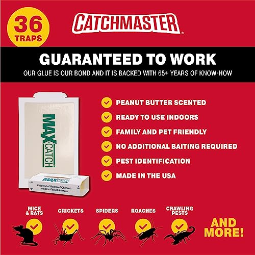 Pest Glue Trap by Catchmaster - 36 Boards Pre-Baited, Ready to Use Indoors. Rodent Mouse Rat Insect Sticky Adhesive Simple Easy Simple Non-Toxic - Made in the USA