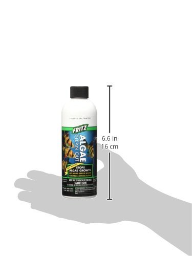 Fritz Aquatics AFA48008 Algae Clean Out for Aquarium, 8-Ounce, Model: 805000