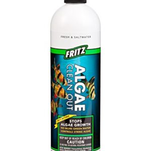 Fritz Aquatics Algae Clean Out - Algaecide for Fresh and Salt Water Aquariums, 16 oz