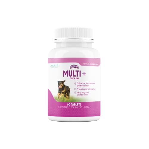 Health Extension Lifetime Multivitamin and Minerals for Dogs & Puppies, Supplements for Immune System, Digestion, Joint Support, Coat & Skin, Contains Vitamin A, D, E, K, B12, 60 Tablets