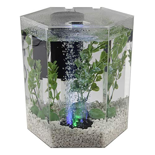 Tetra Bubbling LED Aquarium Kit 1 Gallon, Hexagon Shape, With Color-Changing Light Disc,Green (Packaging may vary)