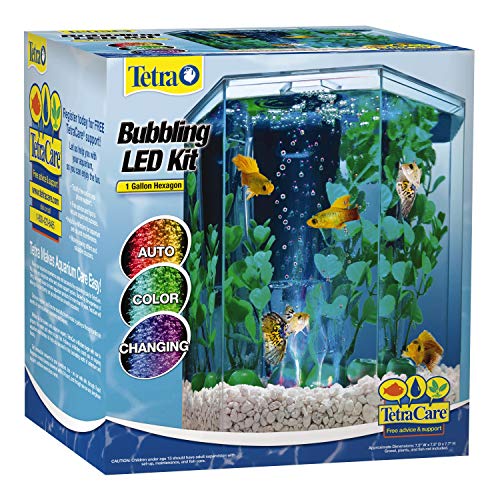 Tetra Bubbling LED Aquarium Kit 1 Gallon, Hexagon Shape, With Color-Changing Light Disc,Green (Packaging may vary)