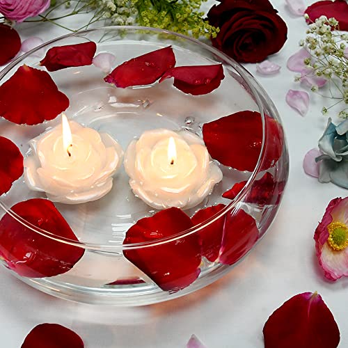 Zest Candle 12-Piece Floating Candles, 3-Inch, White Rose