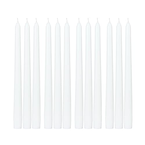Zest Candle 12-Piece Taper Candles, 10-Inch, White