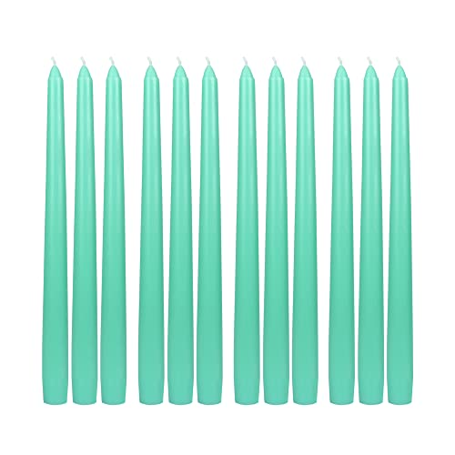 Zest Candle 12-Piece Taper Candles, 10-Inch, Aqua