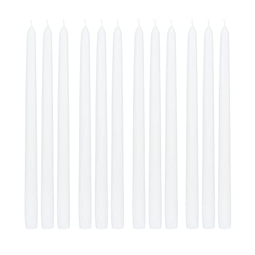 Zest Candle 12-Piece Taper Candles, 12-Inch, White