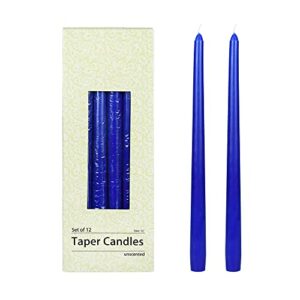 zest candle 12-piece taper candles, 12-inch, blue