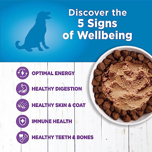 Wellness Simple Natural Wet Canned Limited Ingredient Dog Food, Turkey & Potato, 12.5-Ounce Can (Pack of 12)