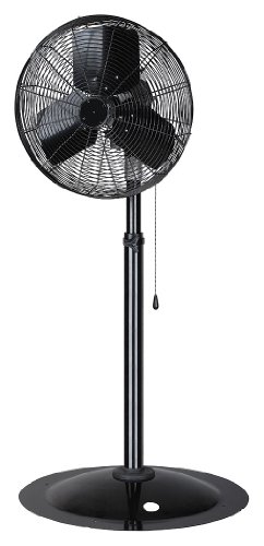 Dayton Light Dty Indstrl Fan,20" Blde Dia,2Spd