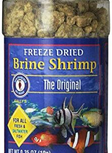 San Francisco Bay Brand ASF71104 Freeze Dried Brine Shrimp for Fresh and Saltwater Fish, 10gm