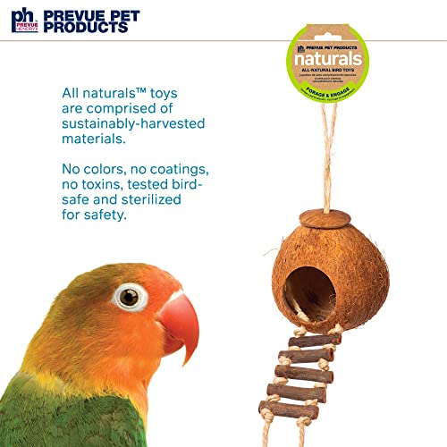 Prevue Hendryx 62801 Naturals Coco Hideaway with Ladder Bird Toy,1 Count (Pack of 1)